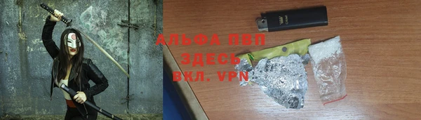 хмурый Нефтекумск