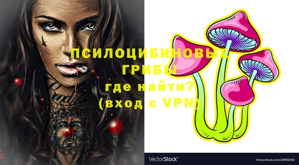 хмурый Нефтекумск