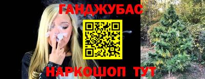 индика Пушкино