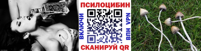 Галлюциногенные грибы мицелий  Ялта 